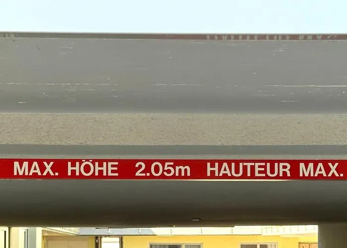 Salute 105 * 洛伊克巴德