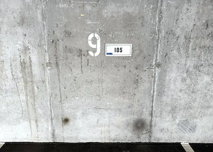 Salute 105 * 洛伊克巴德